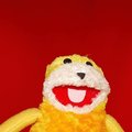 volcy