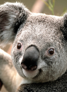 NillKaffryy My Photos photo 5073598