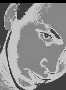 san4ez28 My Photos photo 12670989