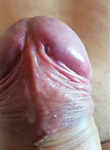 Fotografie #2536747