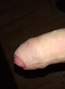 Fotografie #3236180