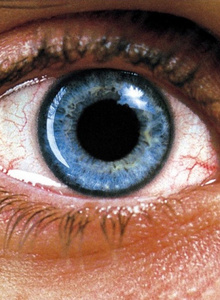 VIDOK_123 My Photos photo 4397403