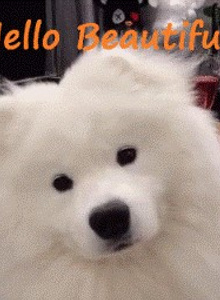 LarryG29 My Photos photo 4501404