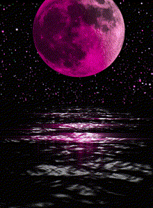 camsuser3 My Photos photo 8641482