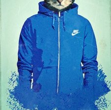 topsnow