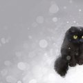 phopper