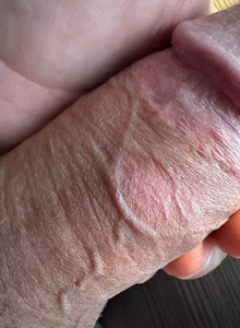 foxandworlf My Photos photo 11839990