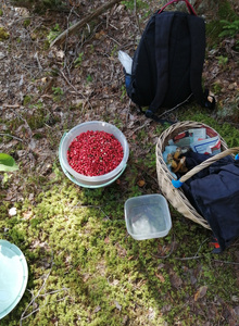 Dwight_Yorke Женя посмотри photo 11881414