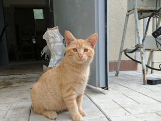 Женя посмотри