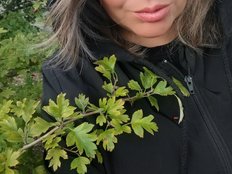 vesna2020 Erotik Cam Profil auf Sex-Cam.sex