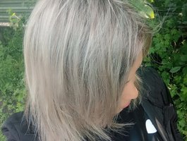 1BECHA1