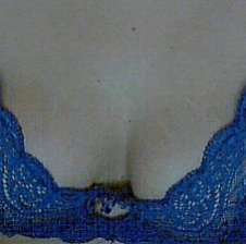 pussycate