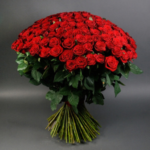 101 roses