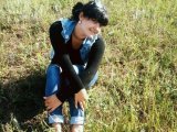 adina12