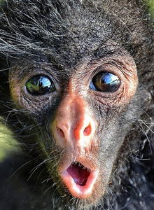 -Vitamin- My Photos photo 4331197