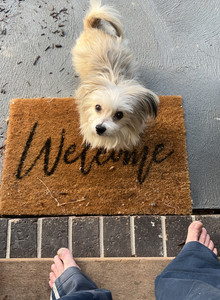 Onabigbender My Photos photo 14056627