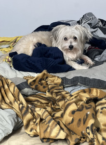 Onabigbender My Photos photo 14056628