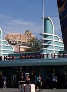 MemshipPlatinum8 test_g photo 3744103