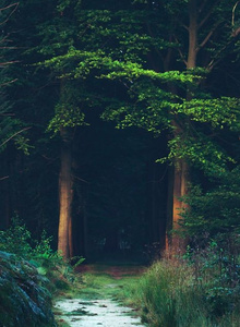 BELMON555 My Photos photo 3544739