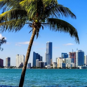 I want to go to Miami 