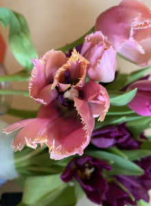 WWWQWWWWWWWWWWWWWWWWWWWW My Photos photo 14047972