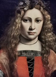 Excaliburus Exaliburus photo 7526390