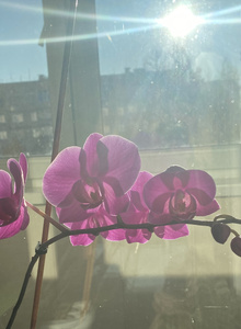 Kjkszpjjj My Photos photo 10185668