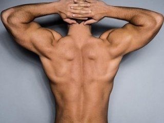 Chestifold
