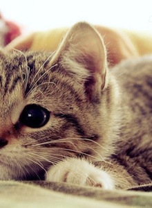 -Kotya- My Photos photo 3372729