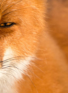 Kusakin_Lizakin90 My Photos photo 5146692