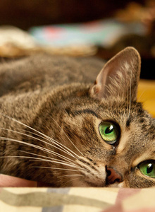 MuuRkaaa My Photos photo 4814914