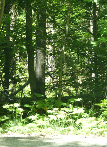 Enjoyallofyou My Photos photo 7865092