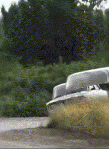 HOOL1UNTALALADASPROBEGOM My Photos photo 11303898