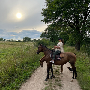 Own horse