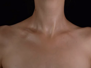 Shoulders