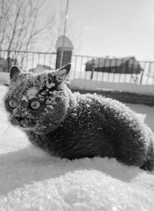 Camshut My Photos photo 7096543