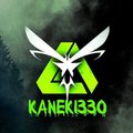 KaNeKi330