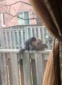 Titan4u2 My Photos photo 4080682