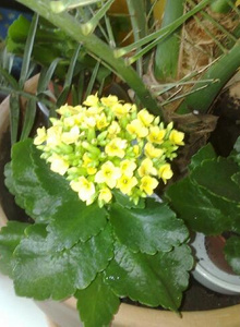 krakow8510 My Photos photo 4406391