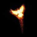 Phoenix404