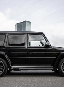 stofmann007 My Photos photo 7064605