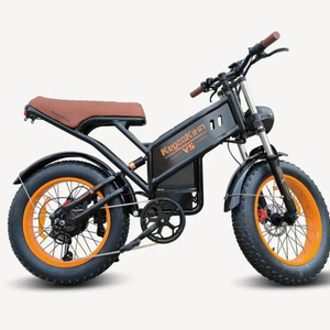 Electric bicycle