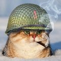 alexarmya