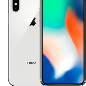 iPhone X