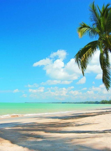 _Aleshka_ My Photos photo 4185524