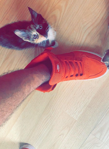 Blaketyler42 NEW CHAPTER = NEW ME photo 12262552