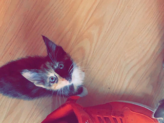 NEW CHAPTER = NEW ME