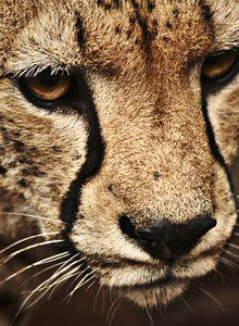 Werqazz Тест photo 14786845