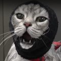 kit_ebun