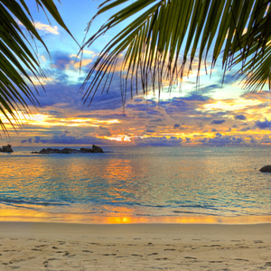 I want to go to the sea